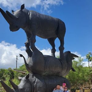 Meet your Posher, Renee